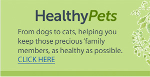 Healthy Pets